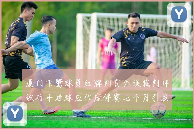 厦门飞鹭球员红牌判罚无误裁判评议对手进球应作废停赛七个月引发热议
